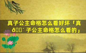 真子公主命格怎么看好坏「真 🐴 子公主命格怎么看的」